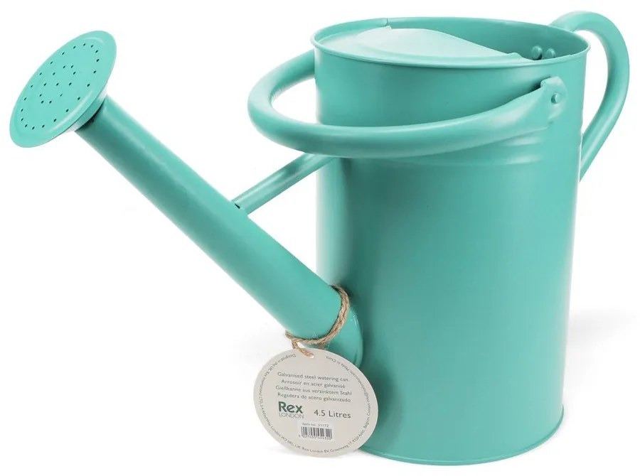 Метална лейка за поливане 4,5 l – Rex London