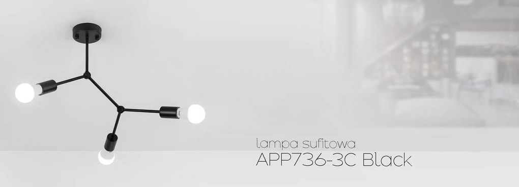 Плафон LOFT APP736-3C Black