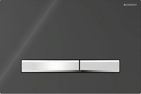 Geberit 115.788.DW.2-Панел за промиване Sigma50 24,6x16,4 см черен/матов хром