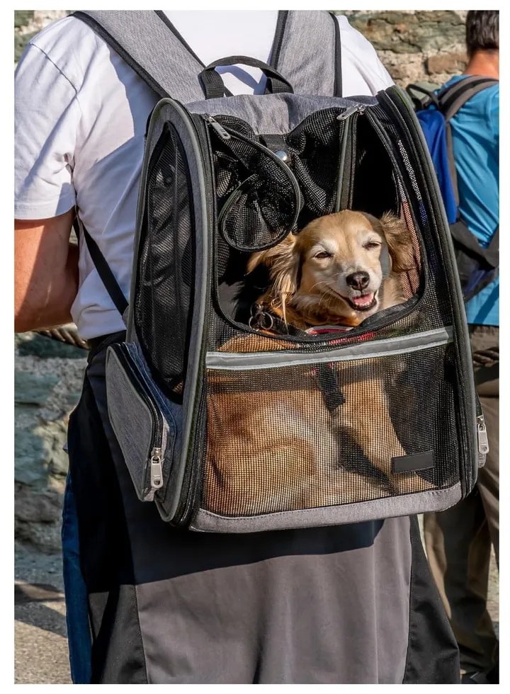 Чанта за транспортиране на домашни любимци 27x33 cm – Love Story