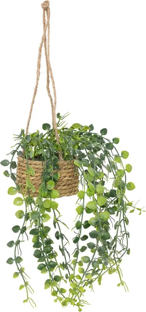 Изкуствено растение atmosphera Patri Hanging, 50 cm, Различни видове