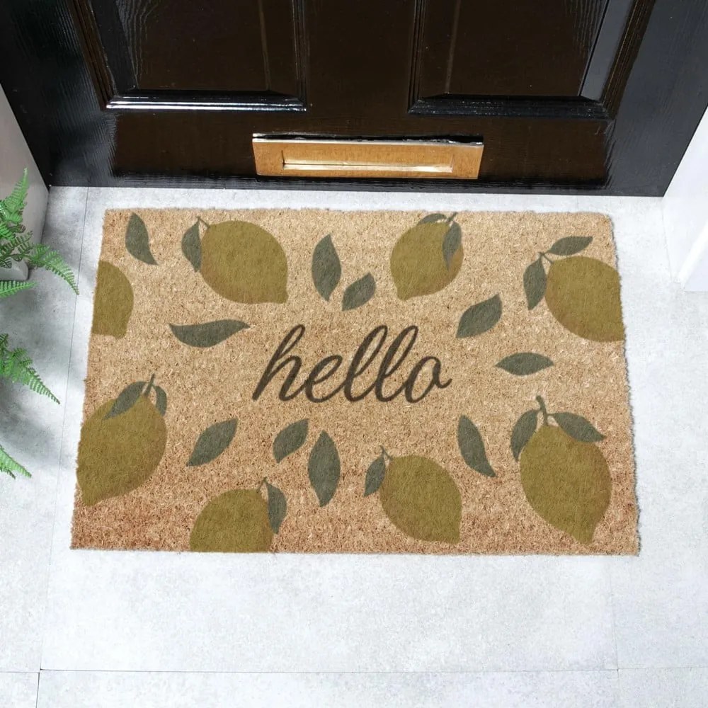 Изтривалка от кокосови влакна 40x60 cm Hello Lemons – Artsy Doormats