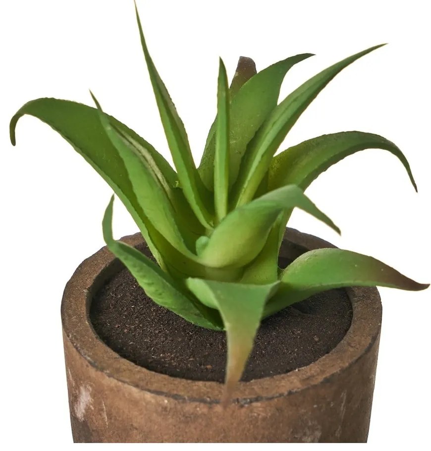 Изкуствени растения в комплект от 4 броя (височина 10 см) Cactus - Casa Selección