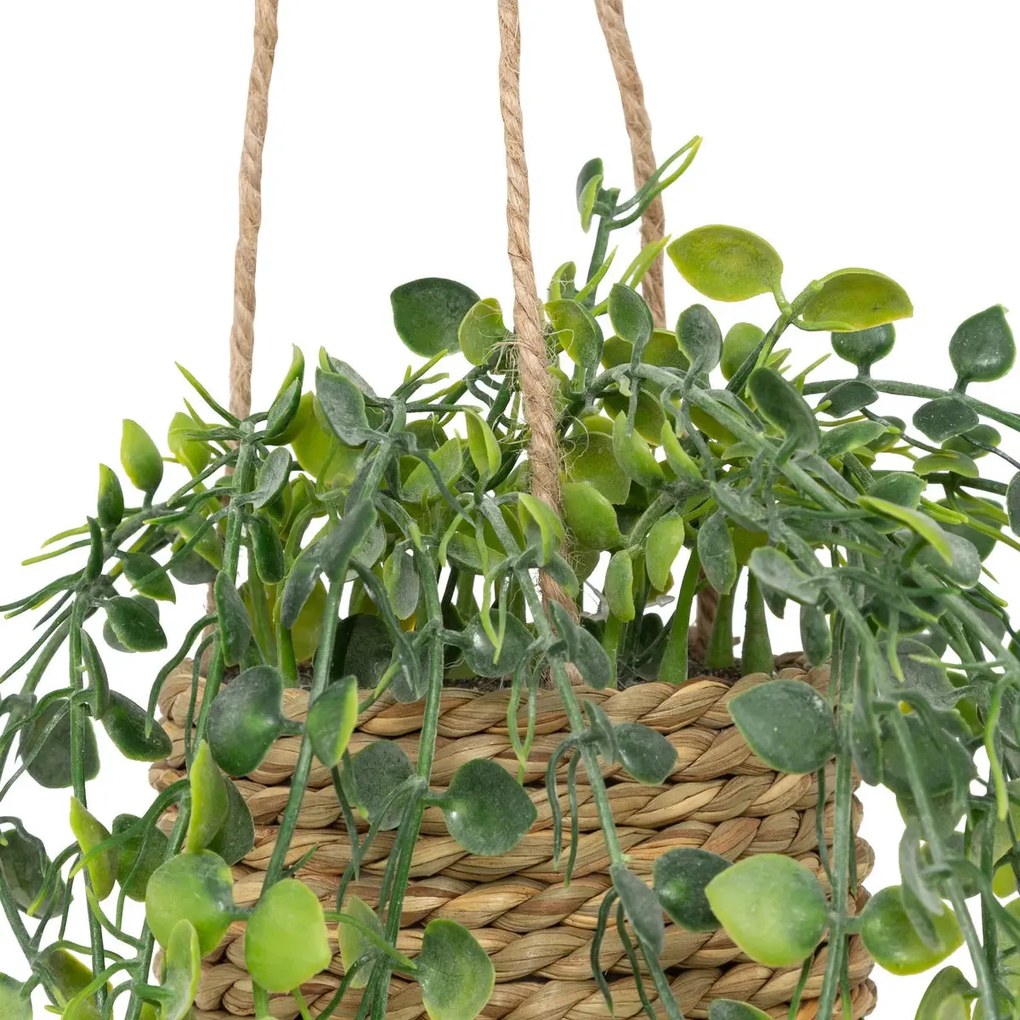Изкуствено растение atmosphera Patri Hanging, 50 cm, Различни видове