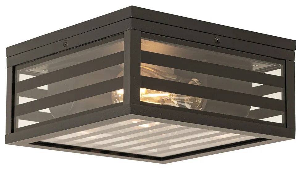 Модерна външна таванна лампа черно стъкло 2-светлина IP44 - Reims