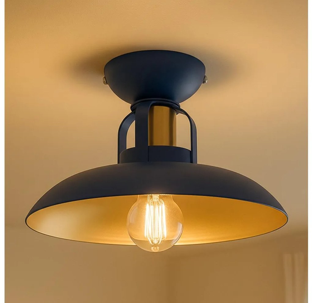 Brilagi - LED Полилей за повърхностен монтаж FLAMENGO 1xE27/60W/230V син