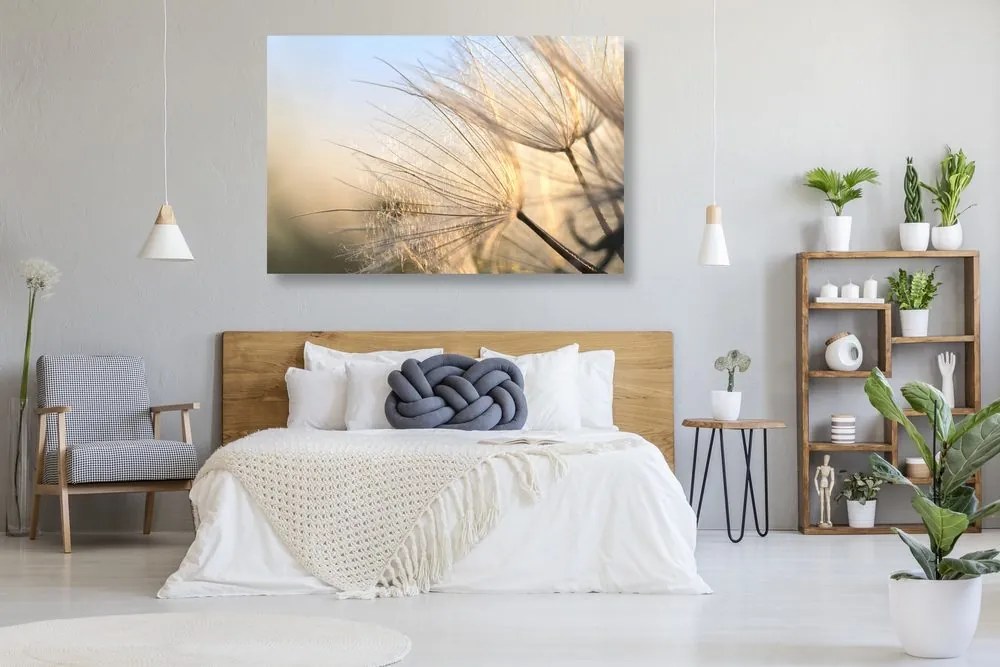 Картина на платно – Глухарче на поле при изгрев