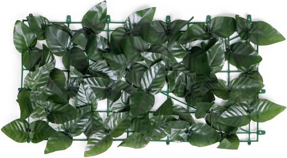 Изкуствен жив плет от бръшлян 500x50 cm