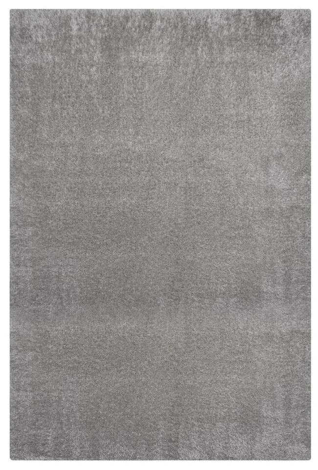 Сив килим от рециклирани влакна 120x170 cm Velvet – Flair Rugs