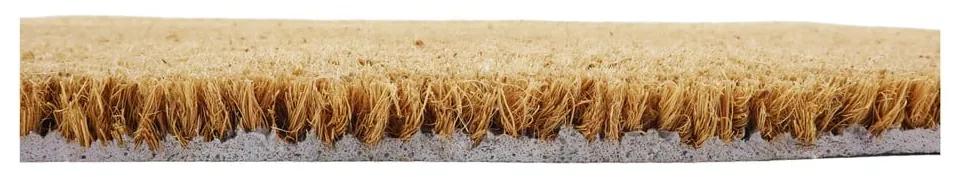 Изтривалка от кокосови влакна 40x60 cm Wipe Your Paws – Artsy Doormats