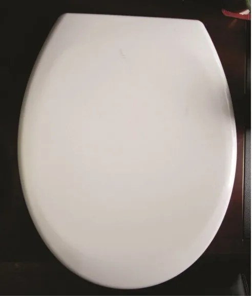 Тоалетна седалка ICST 721