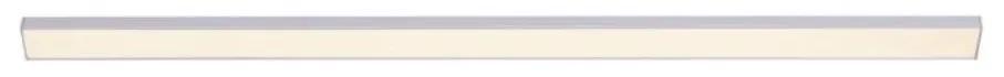 Paul Neuhaus 1125-21-A - LED Лампа за под кухненски шкаф AMON LED/6W/12/230V