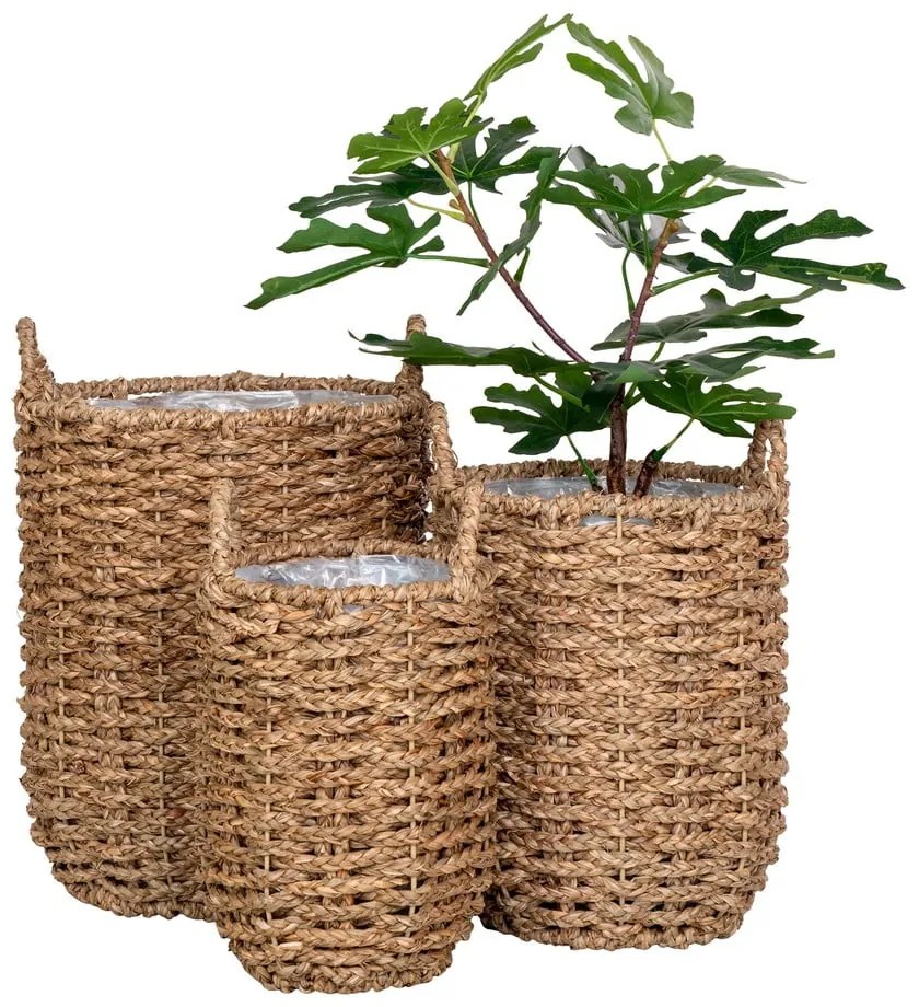 Покрития за кашпи в комплект от 3 бр. от морска трева ø 31 cm Hue – House Nordic