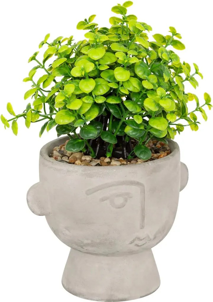 Изкуствено растение atmosphera Dusty Succulent, 22 cm, Различни видове