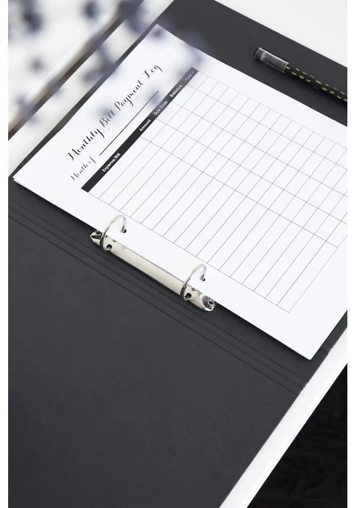 Картонен органайзер за документи Ringo - Bigso Box of Sweden