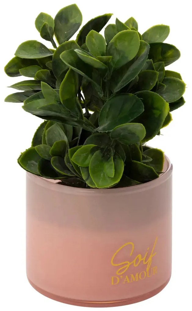 Изкуствено растение atmosphera Tayli Succulent, 18 cm, Различни видове
