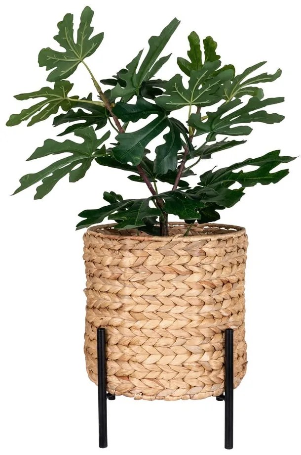 Саксия за цветя от воден зюмбюл ø 24 cm Antas – House Nordic