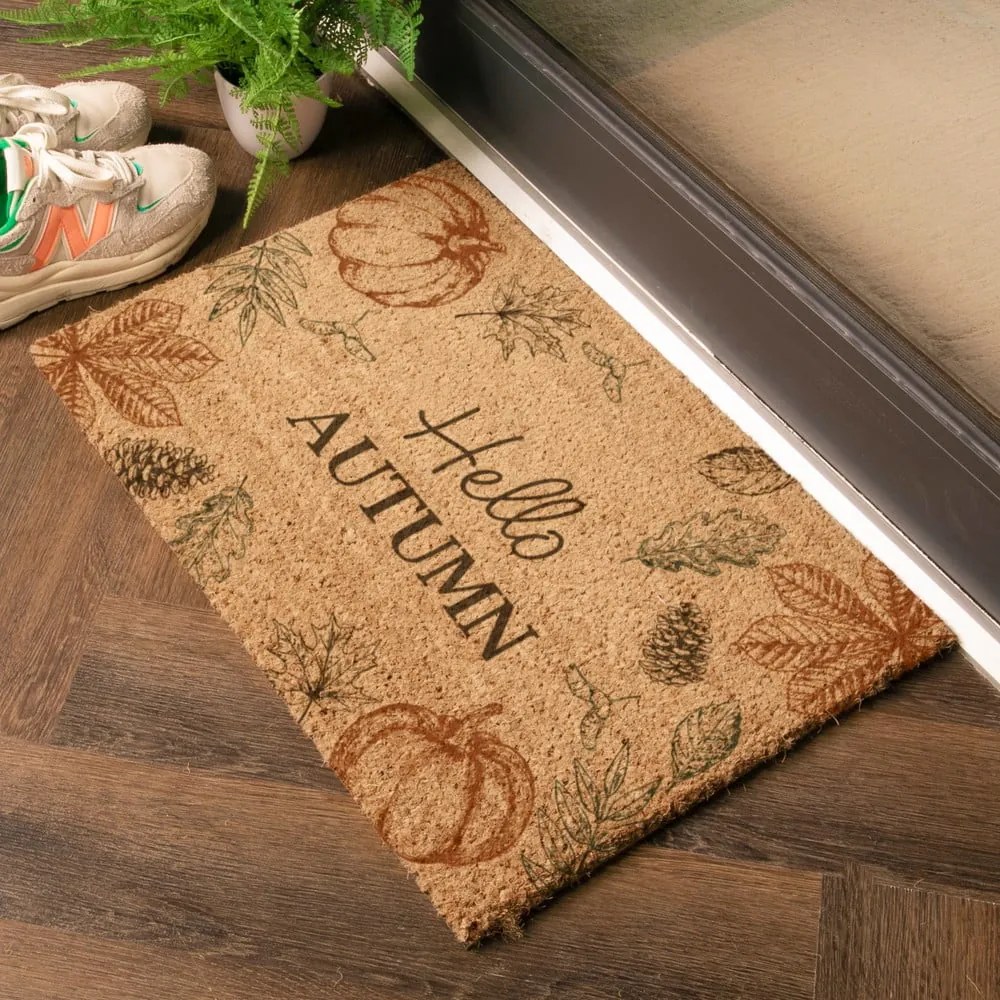Изтривалка от кокосови влакна 40x60 cm Hello Autumn – Artsy Doormats