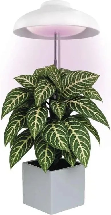 LED лампа за вътрешно отглеждане на растения GROW LED/5W/5V