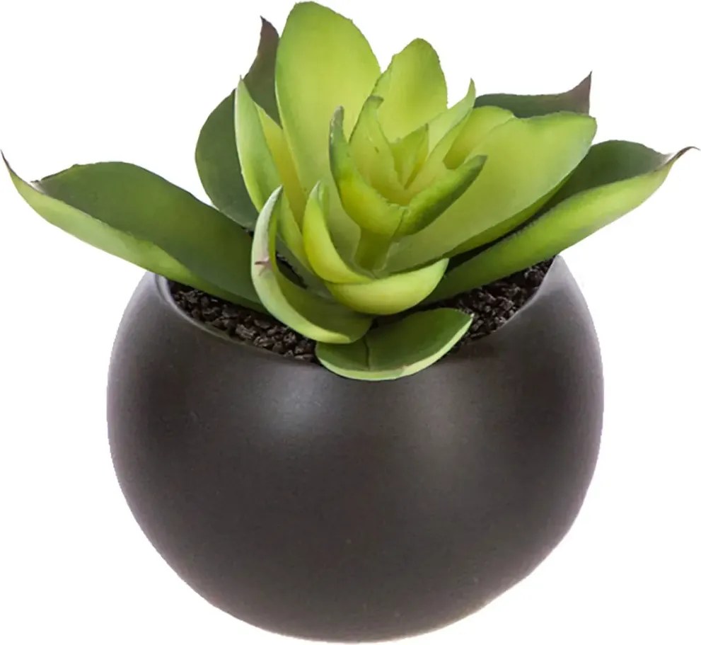 Изкуствено растение atmosphera Succulent, 6 cm, Различни видове