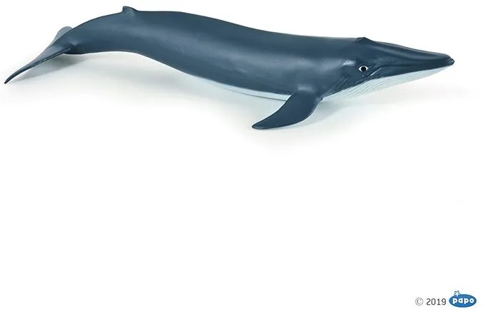 Papo - Фигурка Baby Blue Whale