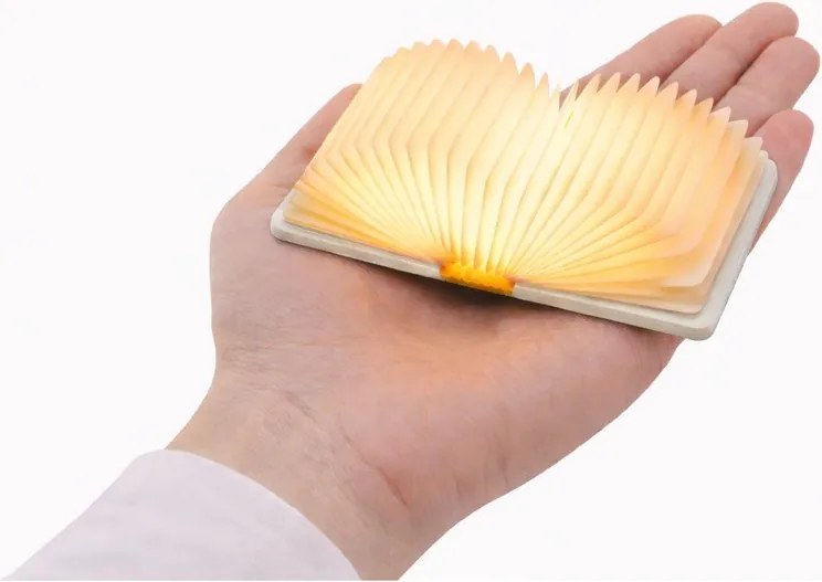 Бяла преносима светлинна декорация с USB BookLight – Gingko