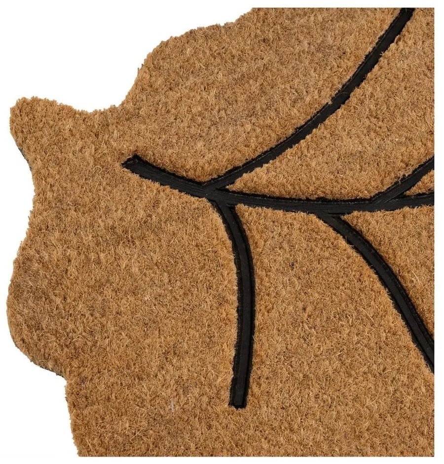 Изтривалка от кокосови влакна 45x75 cm Leaf – Casa Selección