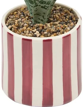 Изкуствено растение atmosphera Sansevieria Chéri, 38 cm