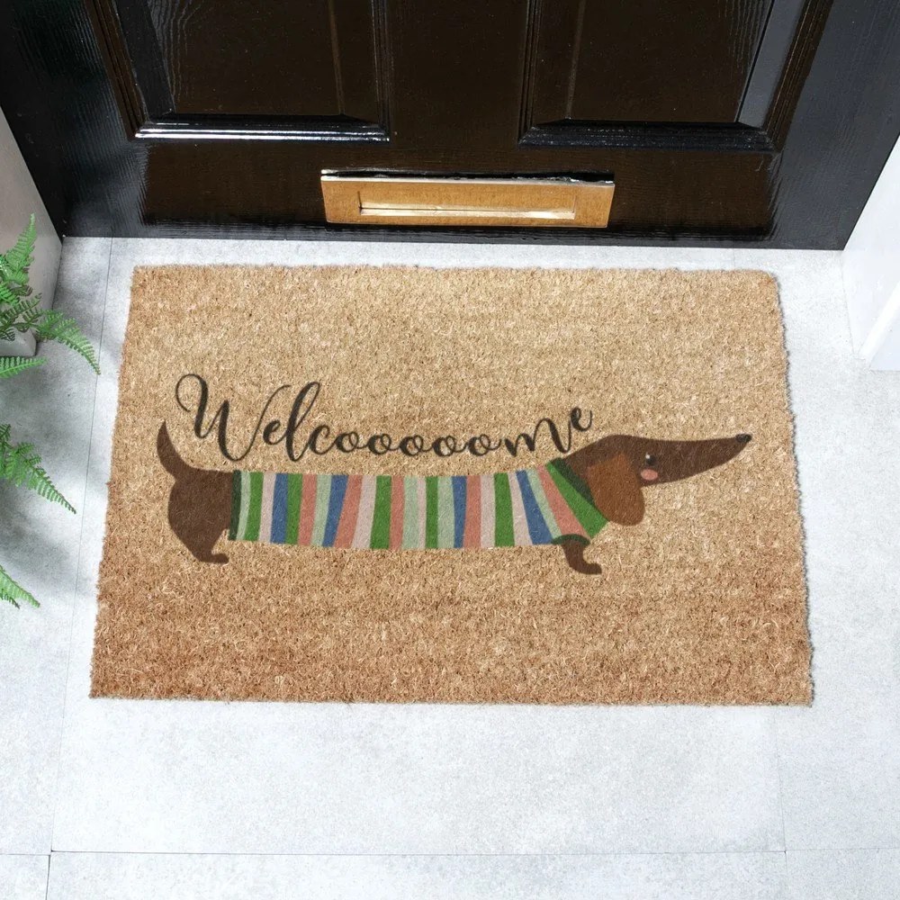 Изтривалка от кокосови влакна 40x60 cm Welcome Sausage Dog – Artsy Doormats