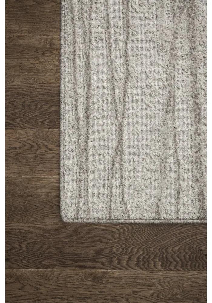 Светлосив вълнен килим 160x230 cm Tejat - Agnella