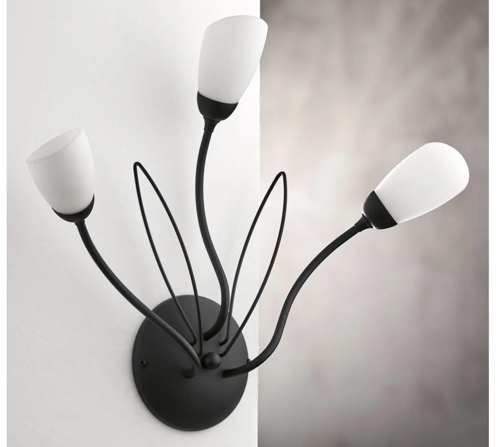 Jupiter 2059 - Стенно осветително тяло GLORIOSA 3xG9/14W/230V, черно