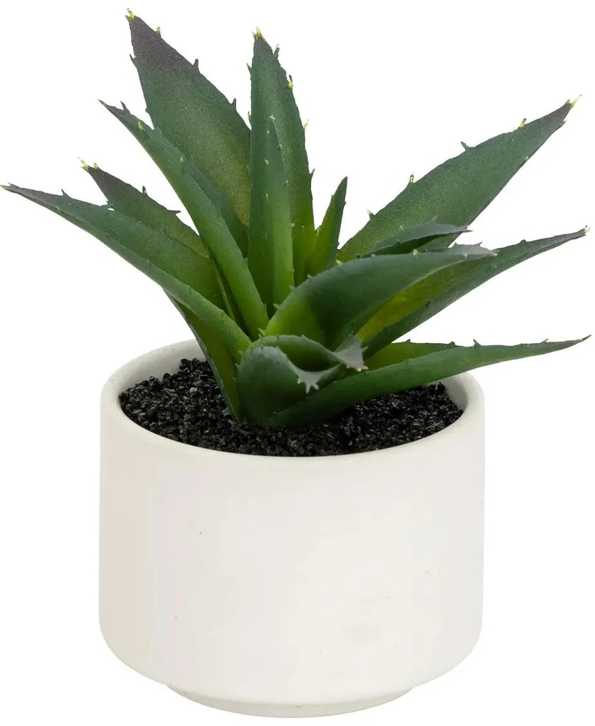 Изкуствено растение atmosphera Succulent, 13 cm, Различни видове