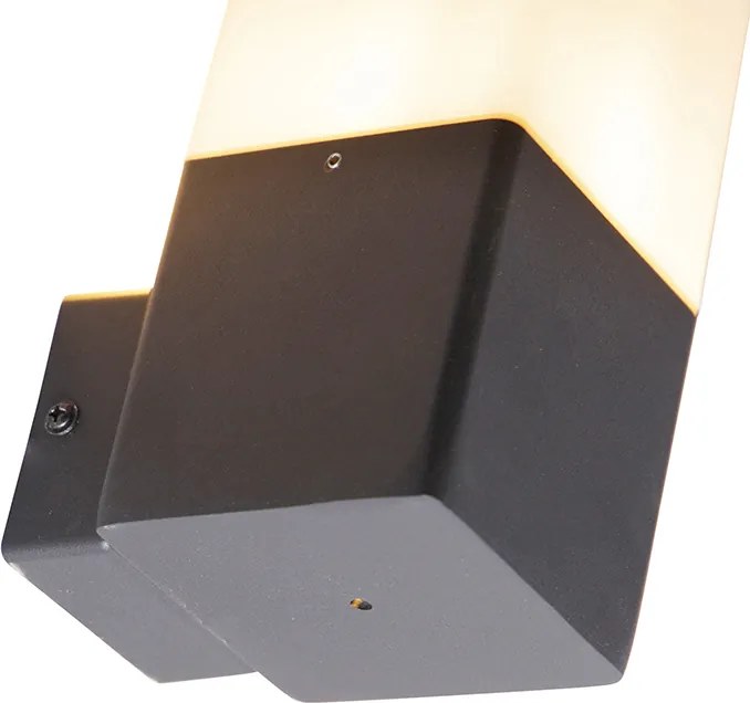 Външна стенна лампа черна с опушено бяло стъкло IP44 - Denmark