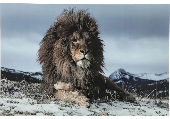 Арт.37291 Картина Glass Proud Lion 180x120cm