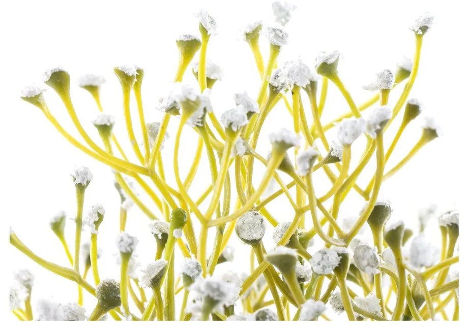 Изкуствено растение (височина 27 cm) Babi – Restilo