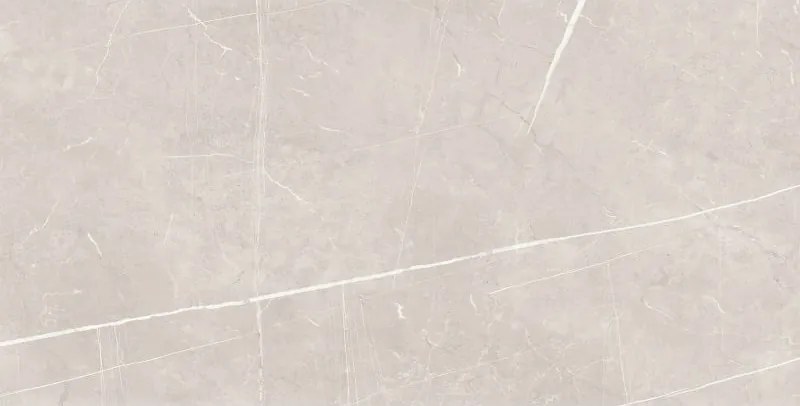 Mexen Dazzle Silver глазирани ректифицирани плочки G1, плочка за под и стена 120 x 60 см, гравировка - TL423-120-060-00