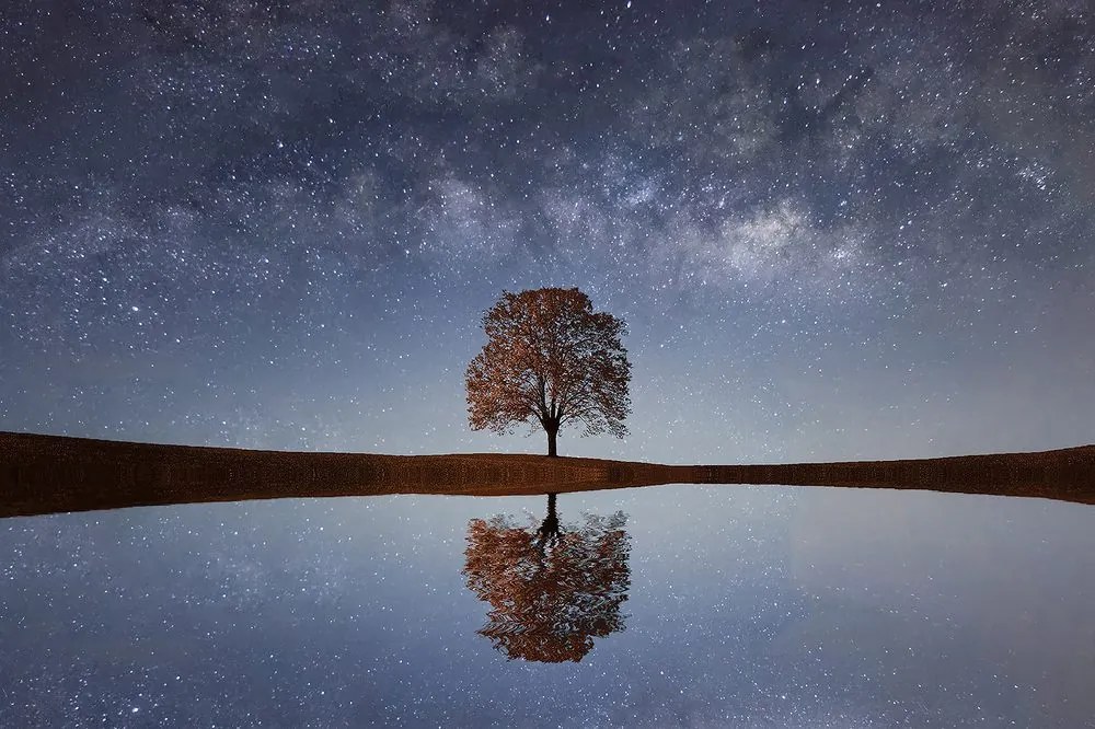Фототапет – Звездно небе над самотно дърво