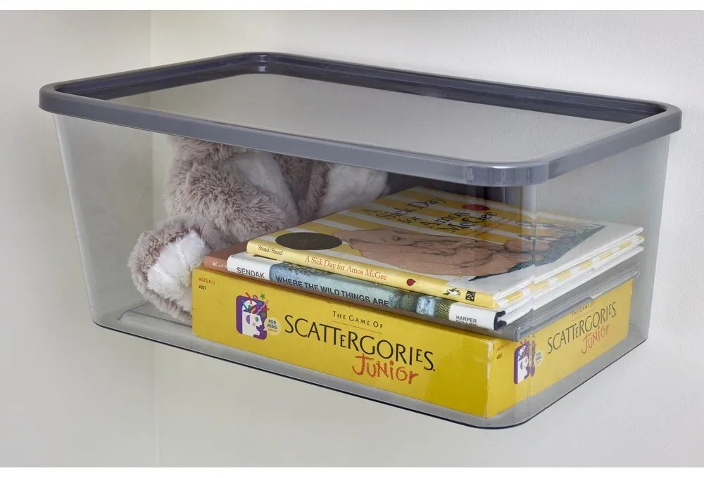 Кутия за съхранение на закрито с капак от рециклирана пластмаса iD Wallspace - iDesign