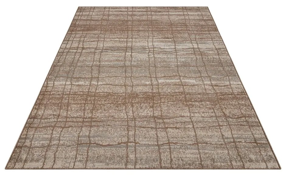 Кафяв/бежов килим 80x120 cm Terrain – Hanse Home