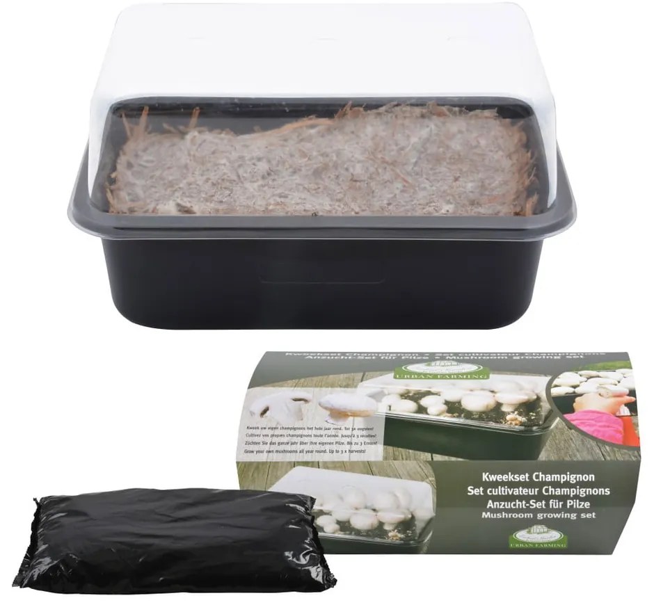 Разсадник за растения Field Mushroom – Esschert Design