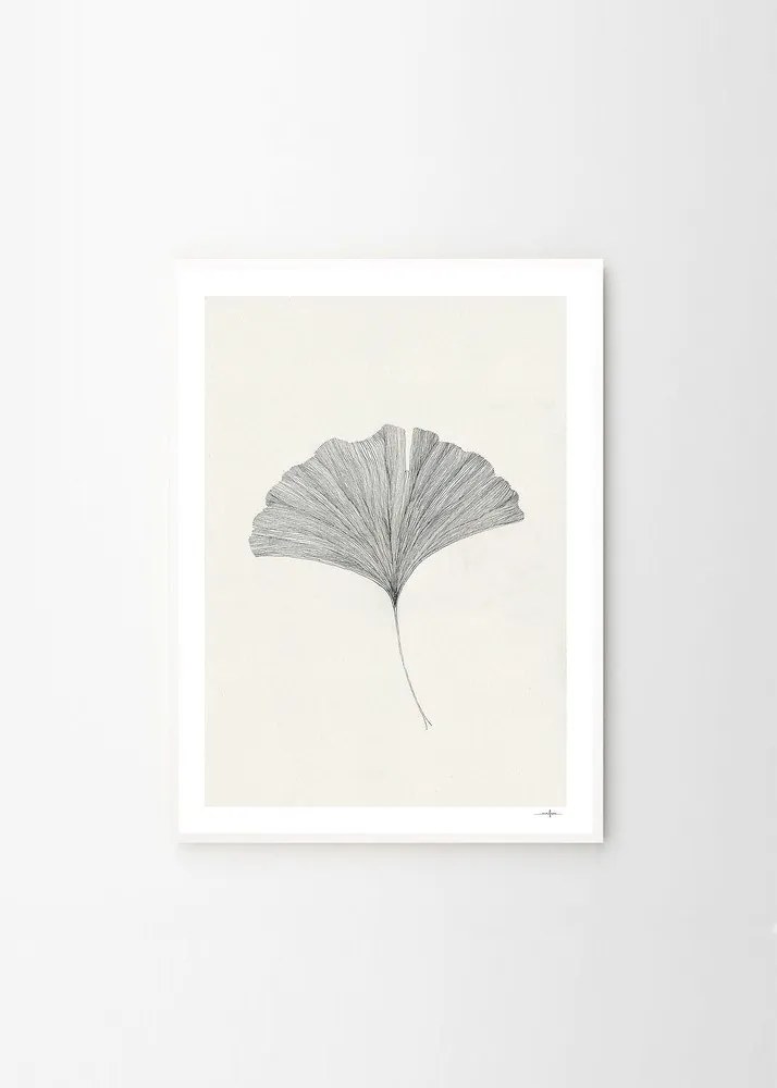 Постер 50x70 cm Ginkgo Leaf – Ana Frois – The Poster Club