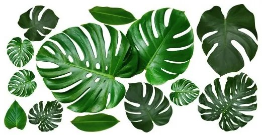 Декоративен стикер за стена с мотив на листа 100 x 200 cm