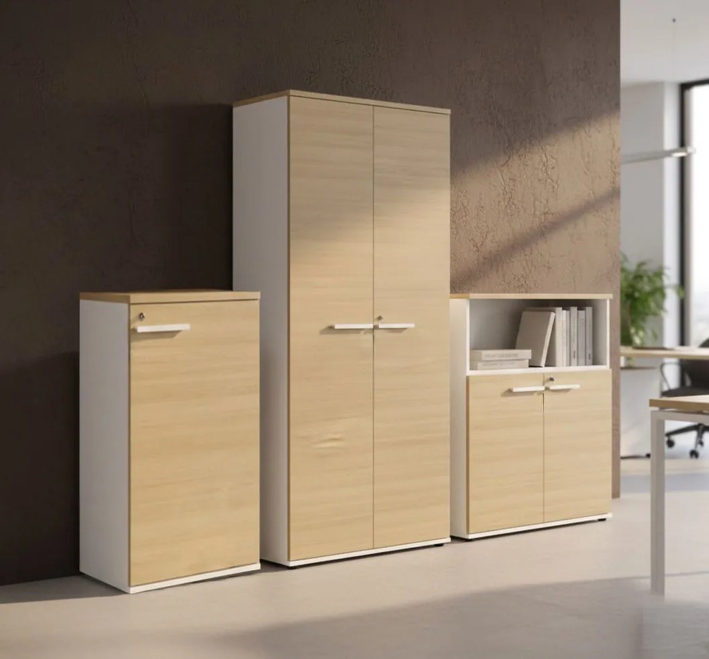 Гардероб Storely-Sonoma-Leuko