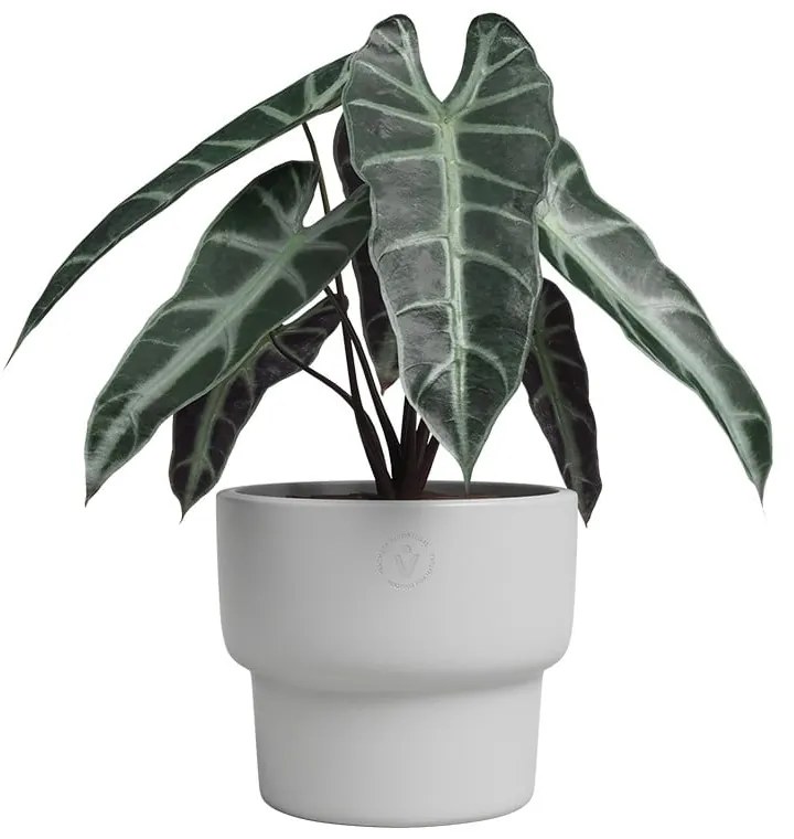 Керамична ръчно изработена саксия за цветя ø 17 cm Echo – Artevasi