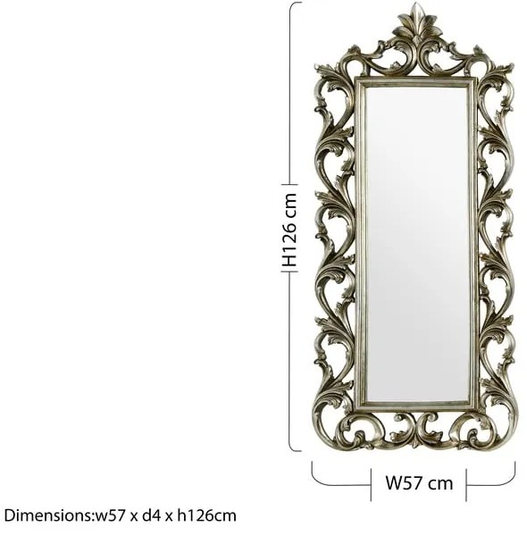 Стенно огледало 57x126 cm Champagne - Premier Housewares