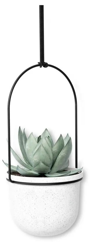 Пластмасови стенни/висящи кашпи в комплект от 5 бр. за билки ø 7,5 cm Triflora – Umbra