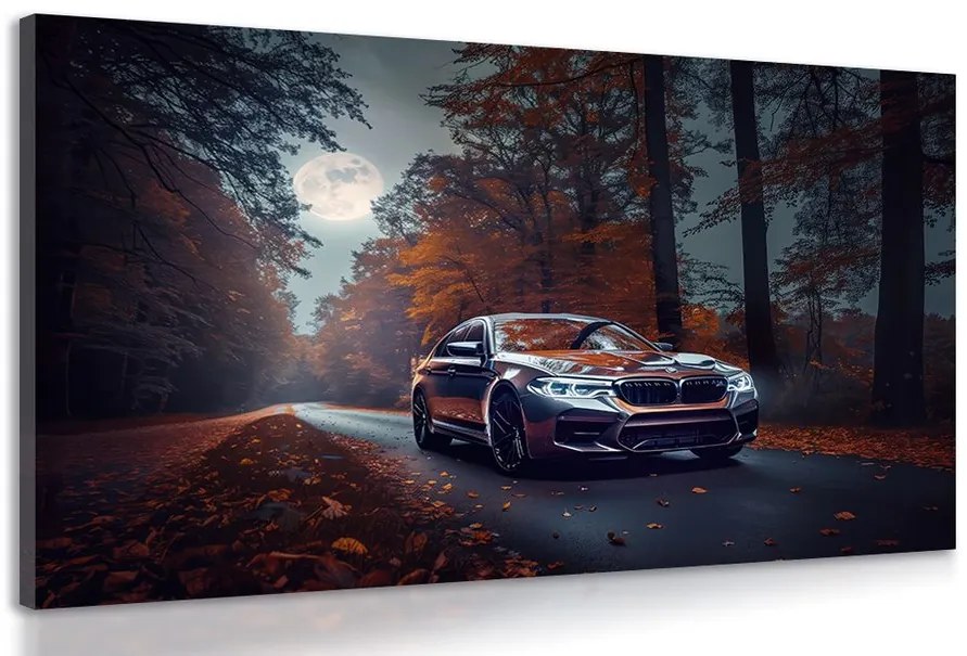 Картина на платно – BMW при пълнолуние