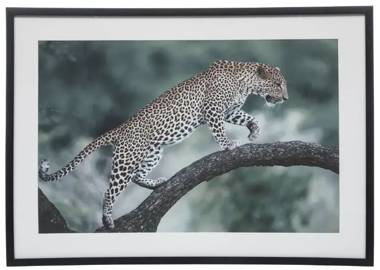 Картина atmosphera Juni, 50x70 cm