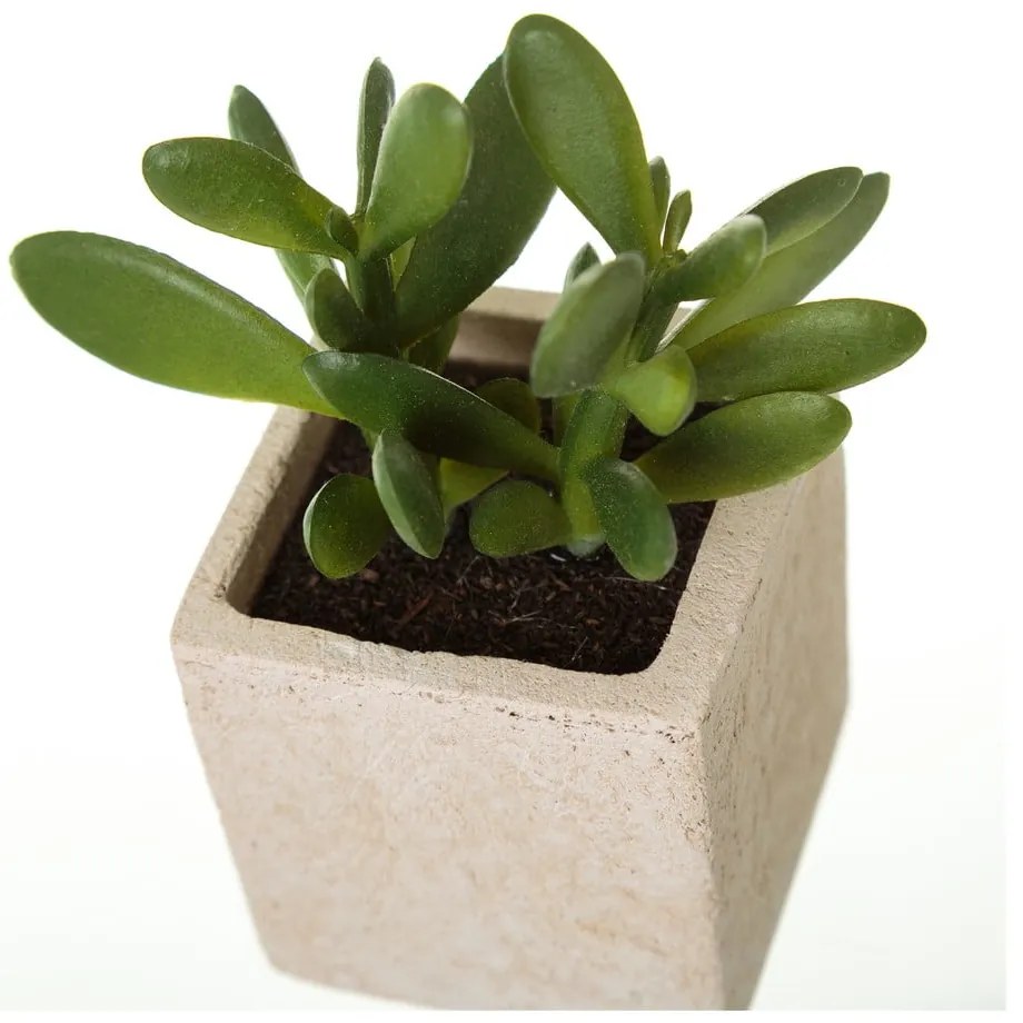 Изкуствени растения в комплект от 6 броя (височина 9,5 см) Cactus - Casa Selección