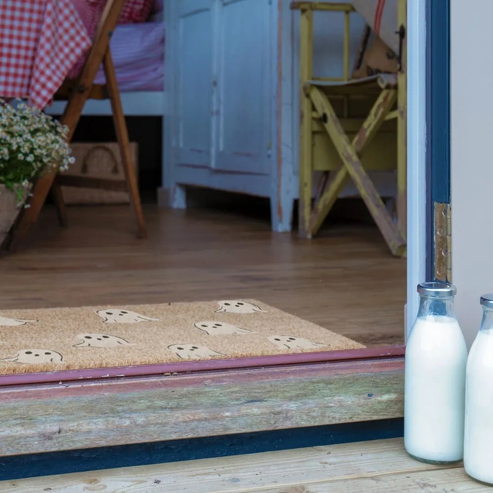 Изтривалка от кокосови влакна 40x60 cm Ghost – Artsy Doormats